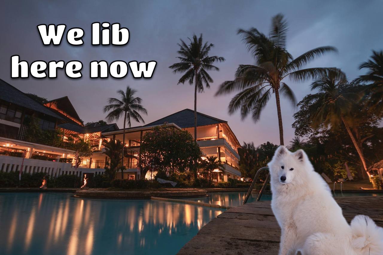 Meeka on vacation